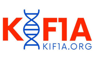 KIF1A KIF1A